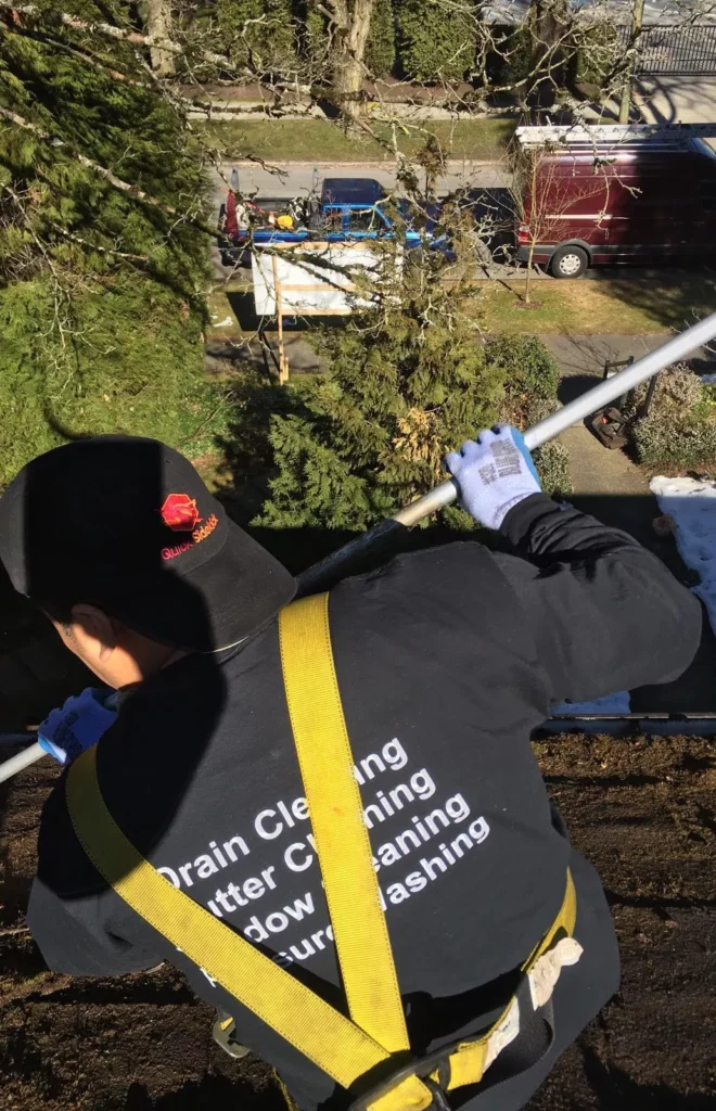 Professional Roof Cleaning