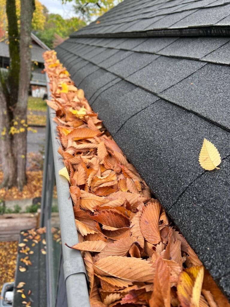 cedar roof blowing, commercial gutter cleaning