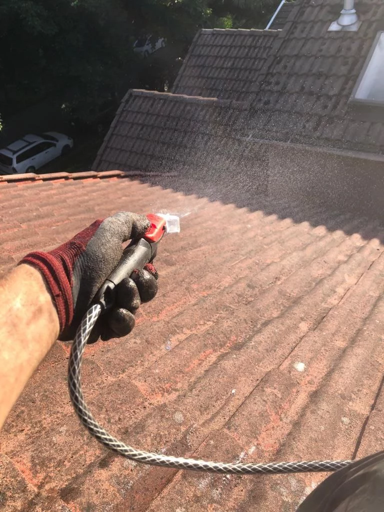 Soft Wash Roof Cleaning