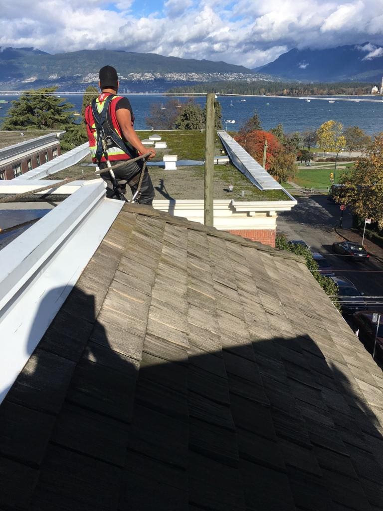 cedar roof blowing services, gutter cleaning