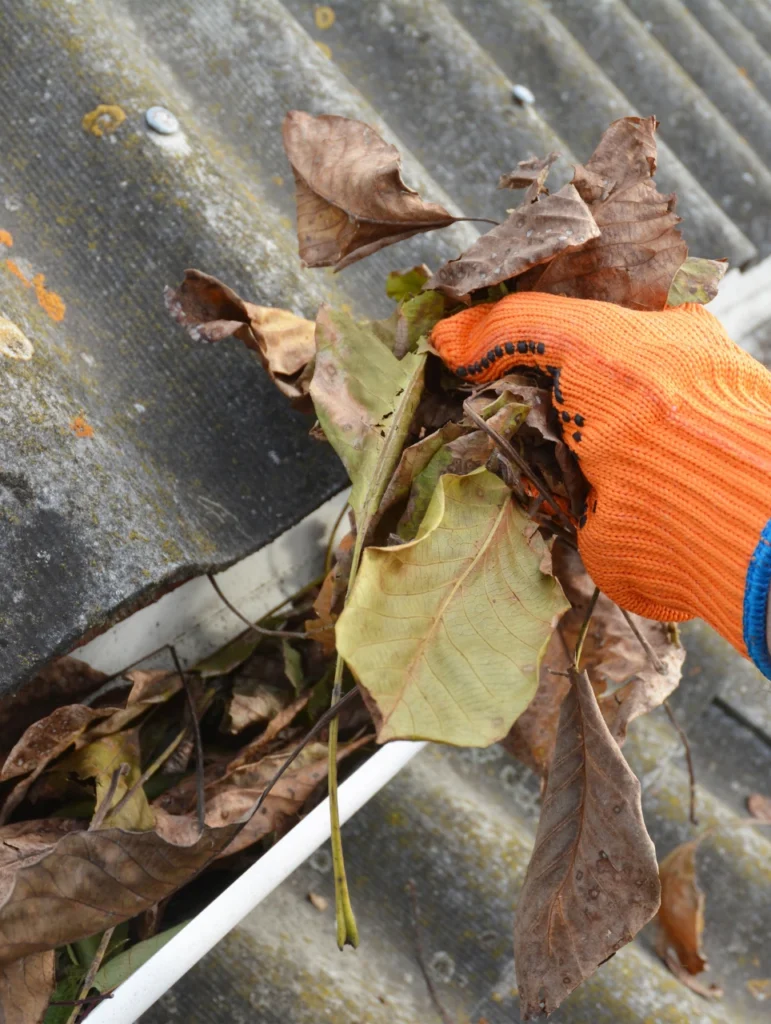 gutter cleaning burnaby