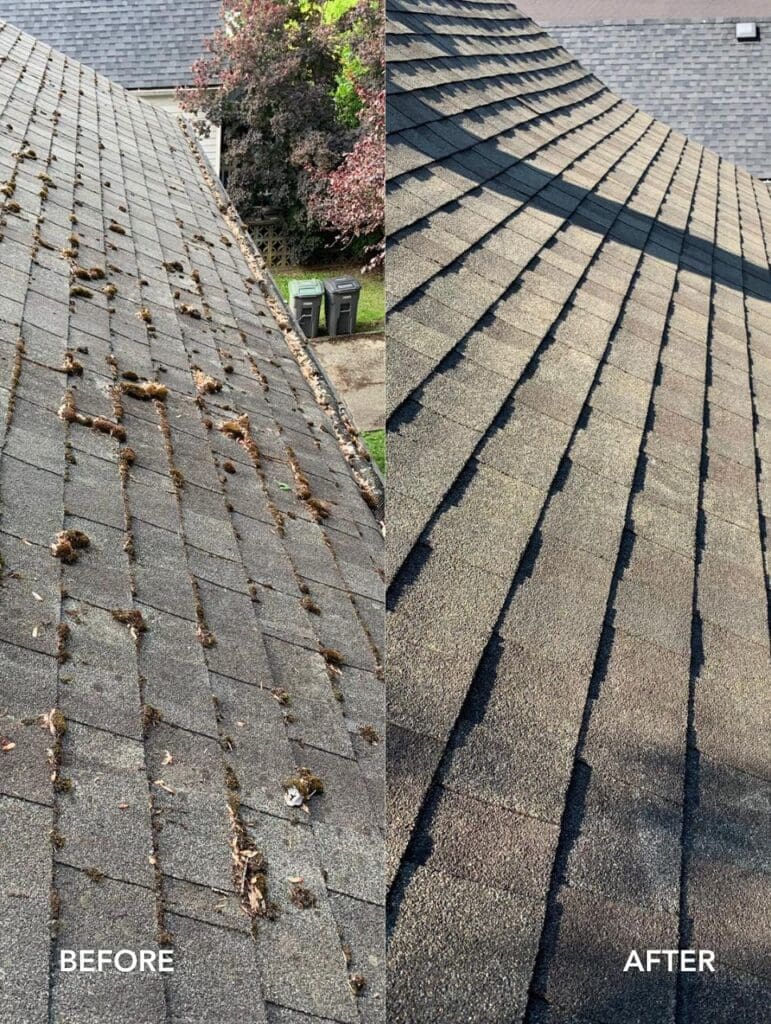 asphalt shingle roof brush cleaning before and after