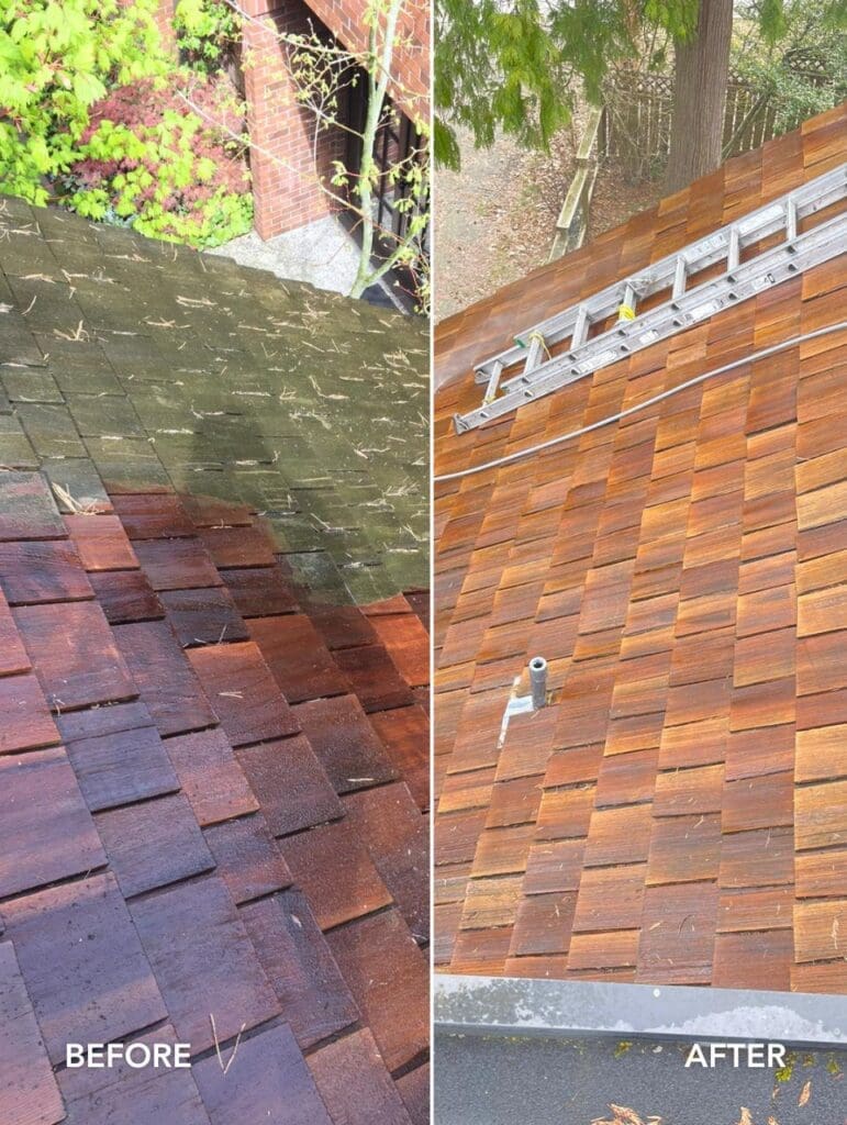 cedar roof cleaning Cleaning In Vancouver before and after, soft wash roof cleaning