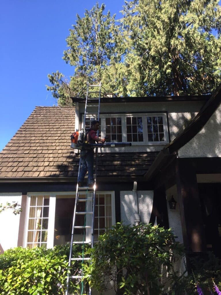 cedar roof blow and sweep services