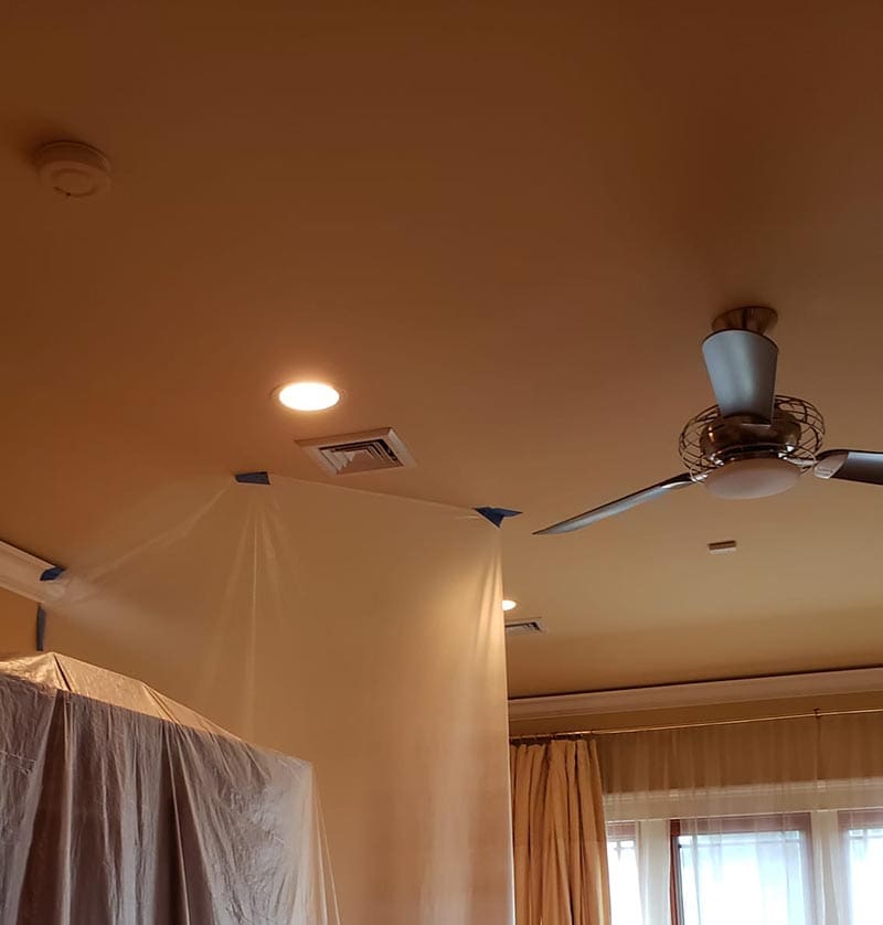 Ceiling fan