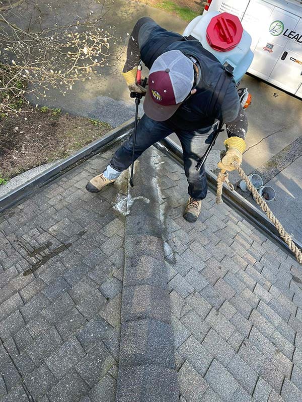 Roof Stain Removal