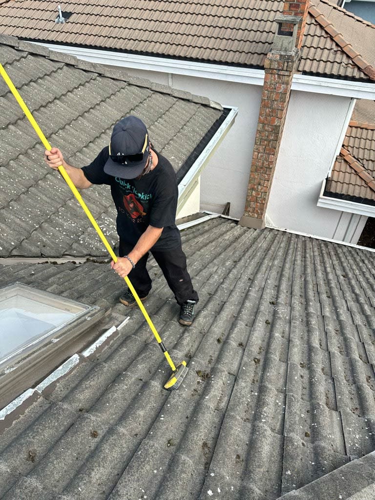 Tile Roof Brush Cleaning