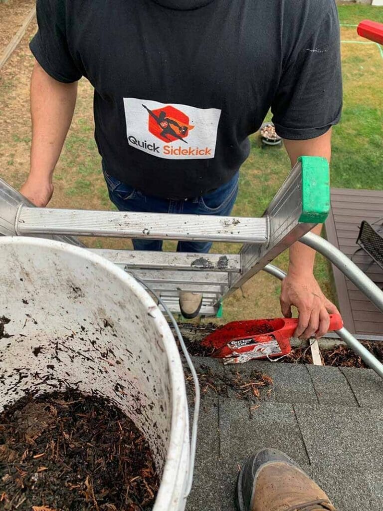 gutter cleaning
