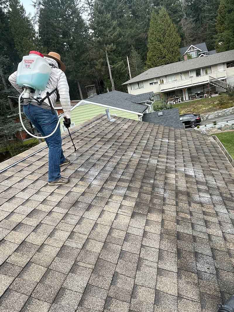 roof cleaning services