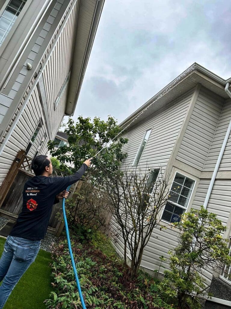 roof-pressure-washing