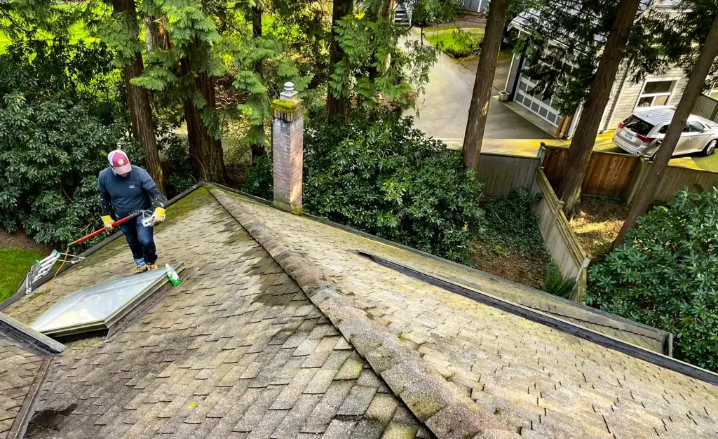 Roof Cleaning