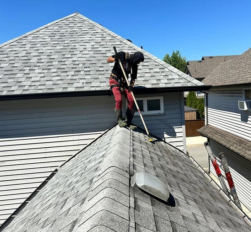 Roof Cleaning
