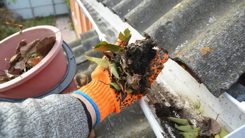 Gutter cleaning service for home in South Surrey by Quick Sidekick