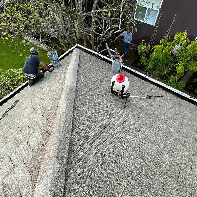 roof soft wash cleaning