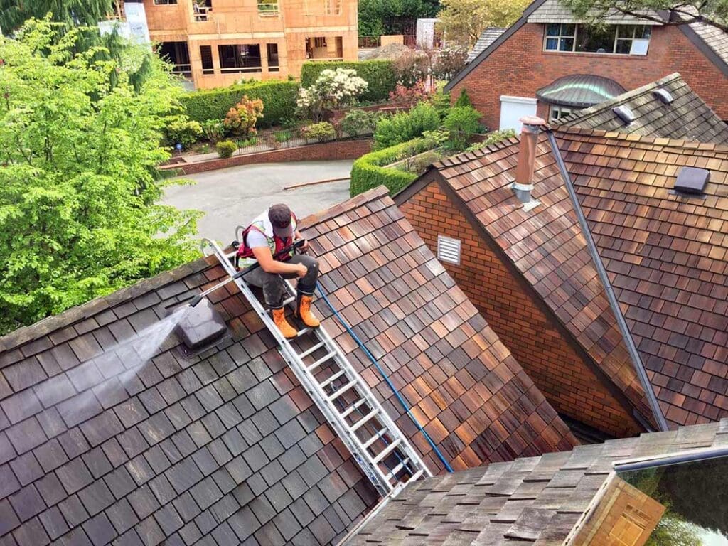 roof soft wash cleaning