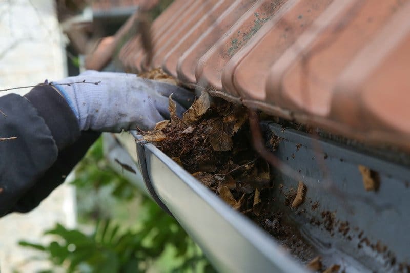 Expert gutter cleaning services in Vancouver