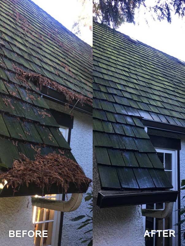 Before After Gutter Cleaning