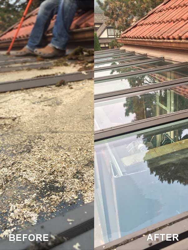 Before After Window Cleaning