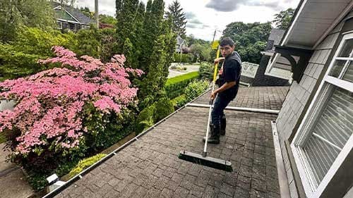 Roof Cleaning