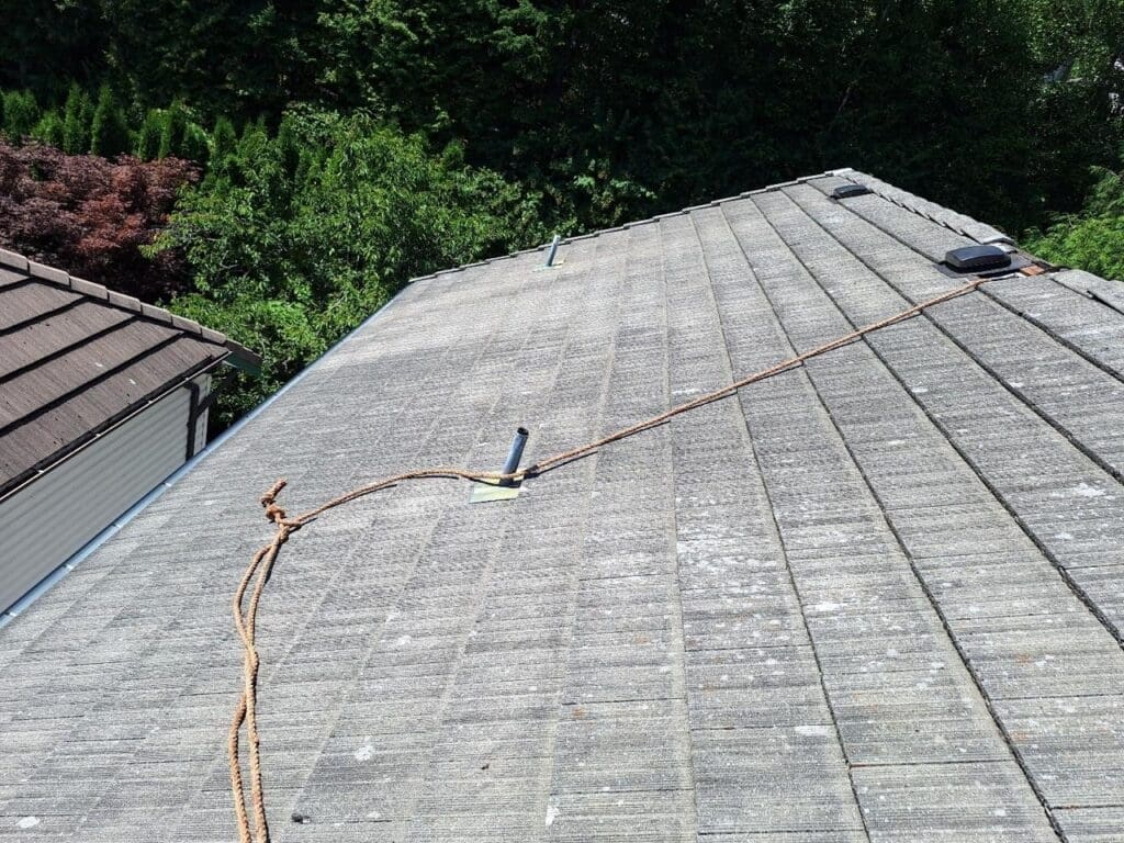 After roof cleaning , tile roof-3