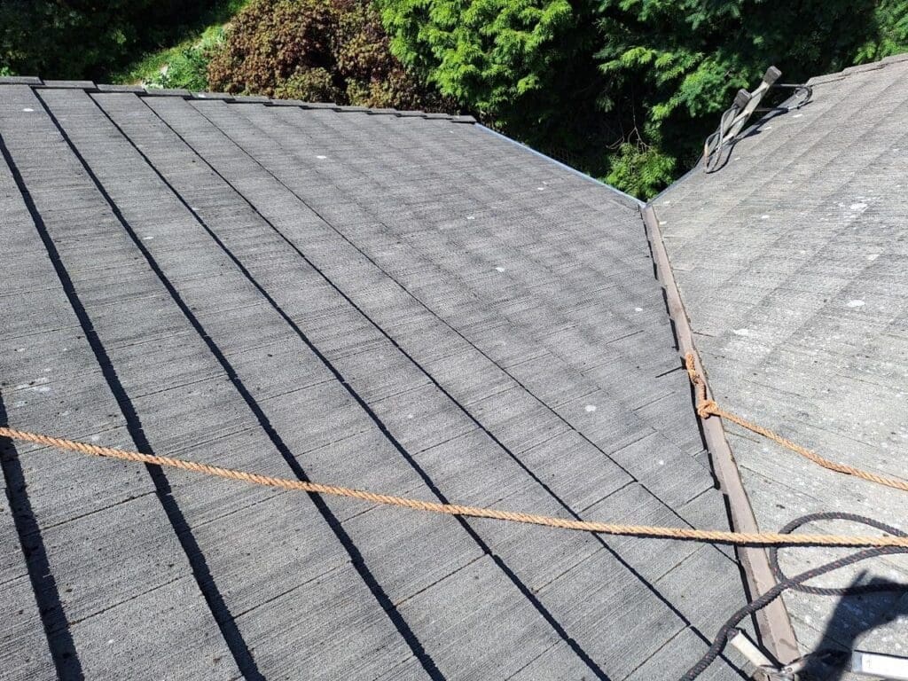 After roof cleaning , tile roof -4