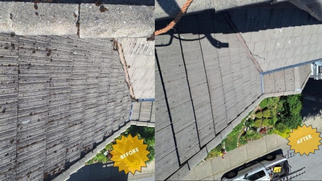 Before and after roof moss removal , roof cleaning tile roof