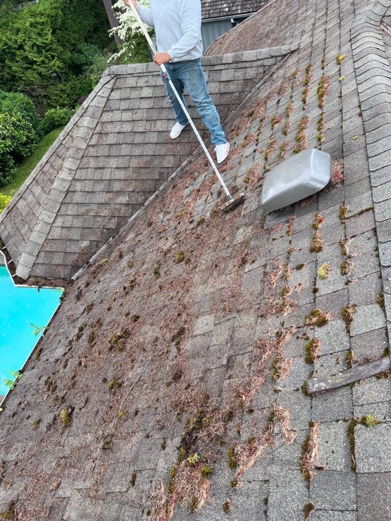 Technician cleaning green moss buildup from a roof in Vancouver during seasonal maintenance
