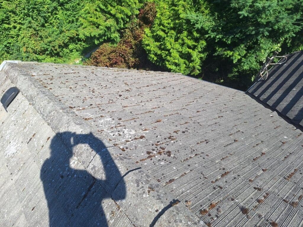 before roof cleaning , close-up with moss build-up-2