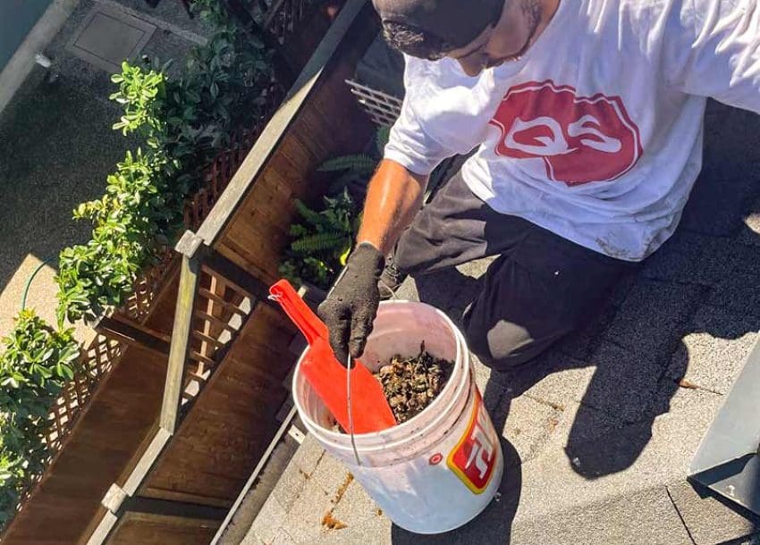 Roof Gutter Cleaning