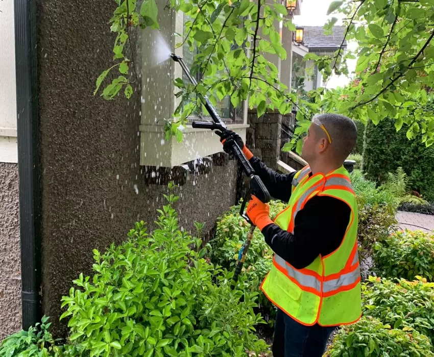 soft wash pressure washing